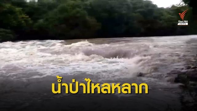 น้ำป่าเขาใหญ่ไหลท่วม "ปราจีนฯ - นครนายก" 
