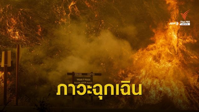 ยังวิกฤต! ไฟป่าแคลิฟอร์เนียลามหลายร้อยจุด