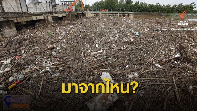 "ท่อนซุง-ขยะ" 200 ตันเกลื่อนประตูหาดสะพานจันทร์