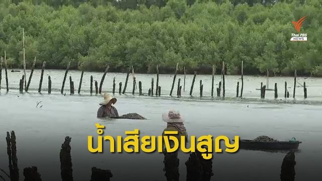 THE EXIT :10 ปี ปัญหาน้ำเสียลุ่มน้ำแม่กลอง 