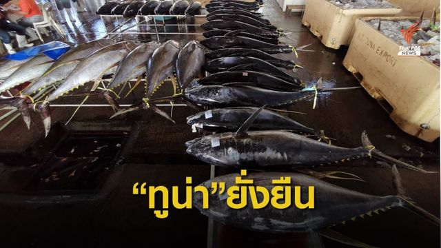 ไทยผ่านเกณฑ์ "ทูน่ายั่งยืน" ระดับดีแค่ 1 แบรนด์ 