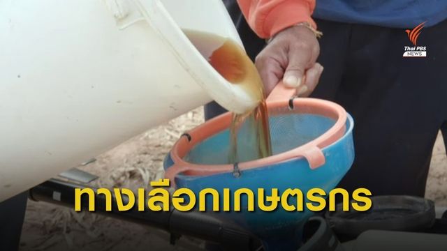 THE EXIT : ทางเลือก...เลิกใช้ "พาราควอต-คลอร์ไพริฟอส"