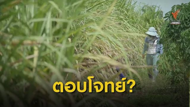 THE EXIT : สารทดแทน ตอบโจทย์เกษตรกร ?