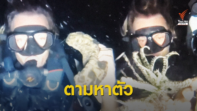 ไม่เหมาะสม! ตามหา 2 นทท.ต่างชาติจับสัตว์ทะเลถ่ายรูปเล่น 