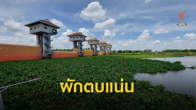 ร้องเปิดประตูระบายน้ำแก้ไขปัญหาผักตบชวาแน่น  จ.ฉะเชิงเทรา