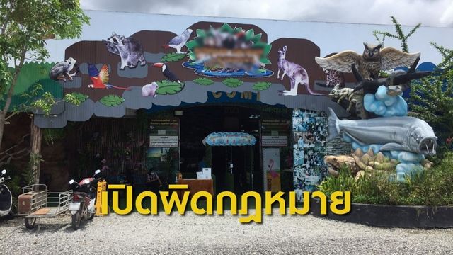 บุกตรวจสวนสัตว์ในพัทยาเปิดผิดกฎหมาย ยึดสัตว์ 1.6 พันตัว 