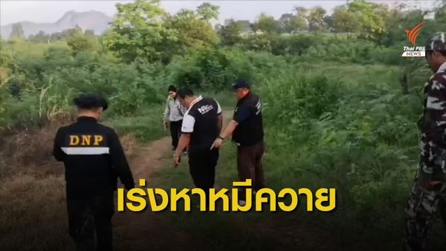 3 วัน ไร้ร่องรอย เร่งค้นหา "หมีควาย" ทำร้ายชาวขอนแก่น เจ็บ 5 คน 