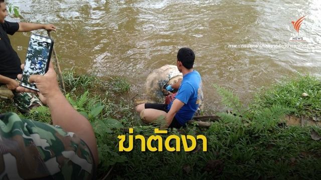 หลักฐานชัด! ซากหัวช้างป่าถูกคว้านตัดงา-ทิ้งแม่น้ำสายบุรี 