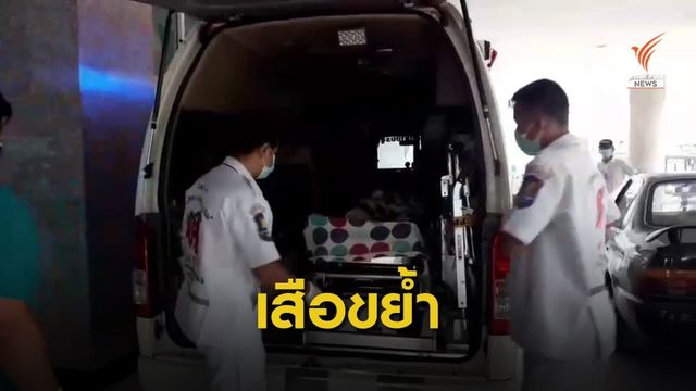 "เสือ" อาณาจักรช้างพัทยา กัดคนเลี้ยงเจ็บ-เย็บ 30 แผล
