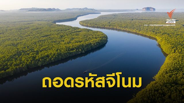 สวทช.-ทช.จับมือวิจัยจีโนมพืชป่าชายเลนเสี่ยงสูญพันธุ์