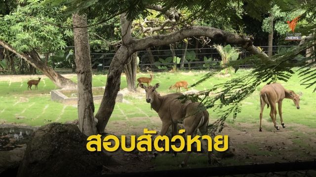 “วราวุธ” จี้สอบ “สัตว์หาย” วอนอย่าเพิ่งสรุปเป็นการค้าสัตว์ป่า