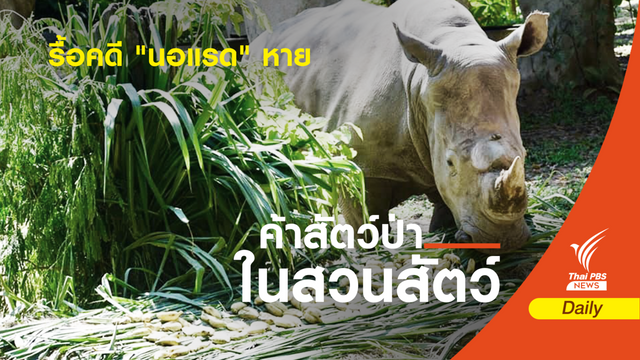 ทำไมต้องรื้อคดี “นอแรด” หายจากสวนสัตว์สงขลา 