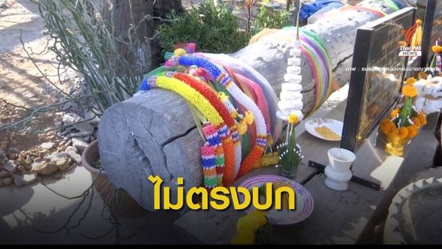 โอละพ่อ! เจ้าแม่ตะเคียนบ้านลุงพลแค่ "ไม้มะค่าแต้"