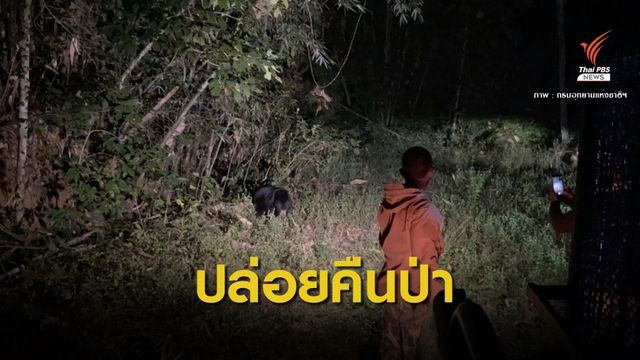 ปล่อย "เจ้าขนุน" หมีหมาคืนป่าแก่งกระจาน