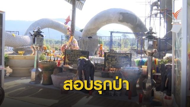 กรมป่าไม้ รับลูก "อัจฉริยะ" ร้องสอบรูปปั้นพญานาครุกป่า