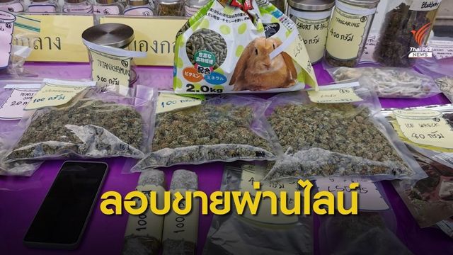 ตำรวจไซเบอร์จับ 3 วัยรุ่น ลอบขายกัญชาผ่านไลน์ นานกว่า 1 ปี 