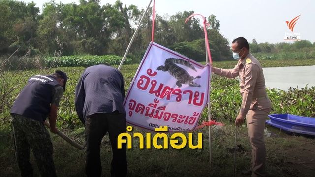 ติดป้ายเตือน "จระเข้ยักษ์" หนองน้ำบุ่งกระเบา-ประมง ยังไม่จับ