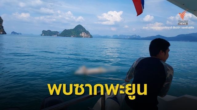 2 วันพบพะยูนตาย 3 ตัว จนท.เร่งหาสาเหตุ