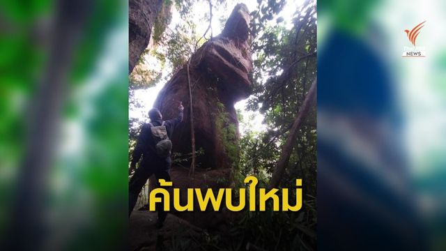 ฮือฮา! ค้นพบหินรูปทรง "เศียรพญานาค" บนภูลังกา