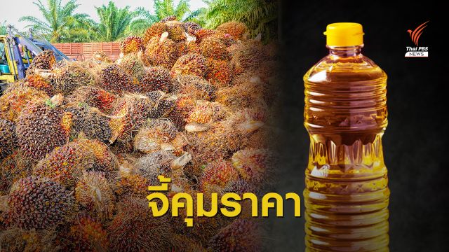 กรมการค้าภายในเร่งเจรจาตรึงราคา น้ำมันปาล์มแตะลิตรละ 48 บาท 