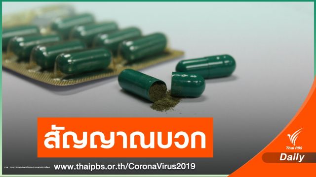 ข่าวดี! “ฟ้าทะลายโจร” ช่วยผู้ป่วย COVID-19 อาการดีขึ้น