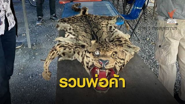 รวบพ่อค้าขาย "ซากหนังเสือลายเมฆ" ผ่านเฟซบุ๊ก