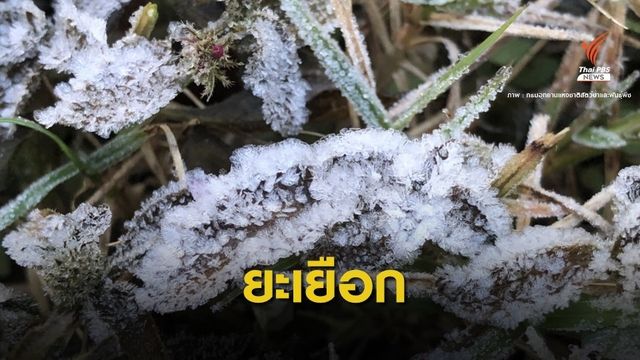ทุบสถิติ "เหมยขาบ" ยอดดอยอินทนนท์ 7 วันรวด