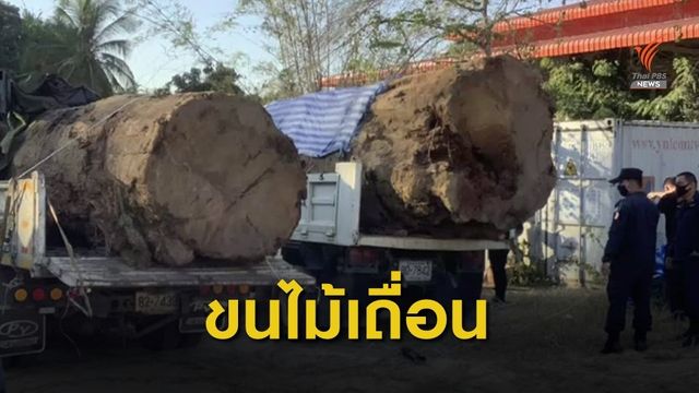 จับขบวนการลักลอบขนไม้เถื่อน พบไม้ตะเคียนทองจำนวนมาก