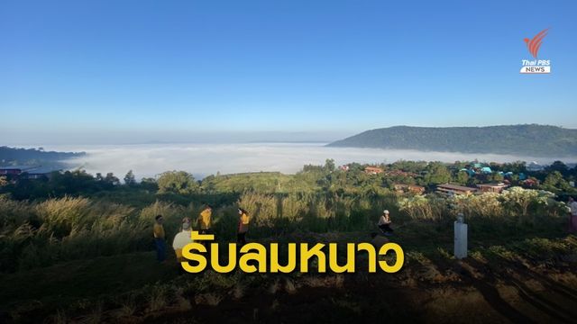 หยุดยาว 4 วันคึกคัก แห่โต้ลมหนาว-เที่ยวทุ่งดอกไม้