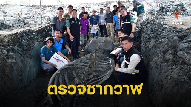 "วราวุธ" ลงพื้นที่ติดตามสำรวจ "โครงกระดูกวาฬ"