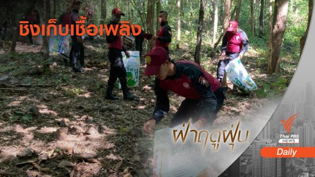 ทส.ชิงเก็บ "เชื้อเพลิง" ในป่าจังหวัดละ 100  ตันสกัดไฟป่า 