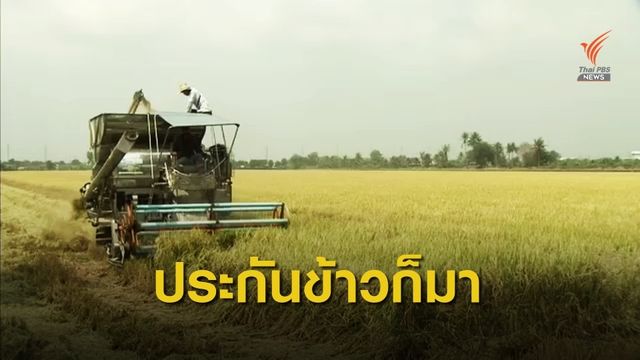 "พาณิชย์" นัดหารือ 3 ฝ่าย เดินหน้าประกันรายได้ชาวนา