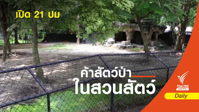 พบ 21 ปม ร้องผู้บริหารฯ โยงคดี "สวนสัตว์สงขลา"