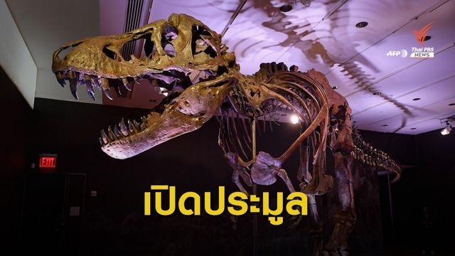 ประมูลซากไดโนเสาร์ทีเร็กซ์ มูลค่ากว่า 30 ล้านดอลลาร์สหรัฐฯ