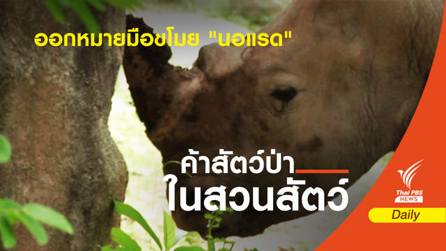 ตำรวจขอศาลออกหมายจับ จนท.ขโมยนอแรดมูลค่า 1 ล้าน