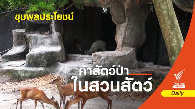 ค้าสัตว์ใน “สวนสัตว์” อิทธิพล-ผลประโยชน์