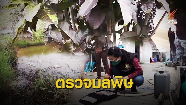 คุมแอมโมเนียรั่วได้แล้ว-ทส.เก็บน้่ำตรวจหลังปลาตาย