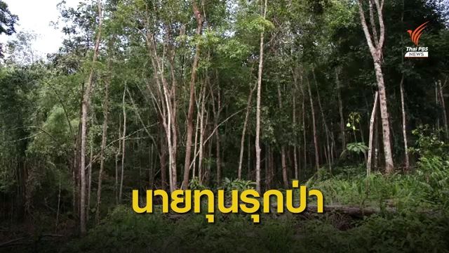 THE EXIT : ตรวจสอบพื้นที่สวนป่าบางขนุน