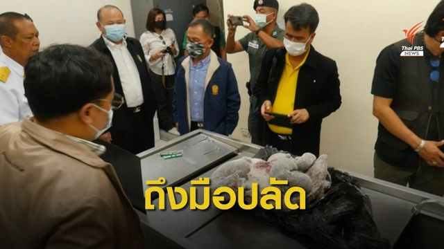 ข้อมูลชุดแรกสอบปม "เก้งเผือก-สวนสัตว์สงขลา" ถึงปลัดทส.