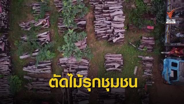 THE EXIT : ค้าไม้พะยูงข้ามชาติ ตอน 1
