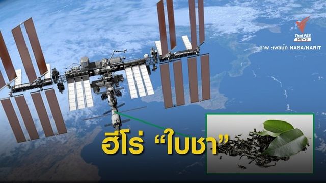 "ฮีโร่ใบชา" อุดรอยรั่วสถานีอวกาศนานาชาติ