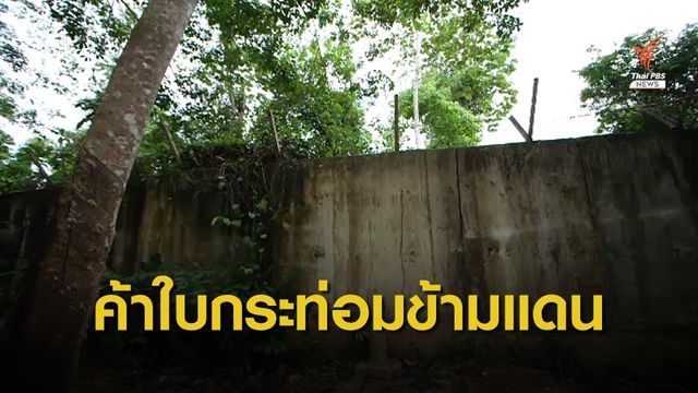 THE EXIT : ค้าใบกระท่อมข้ามแดน 
