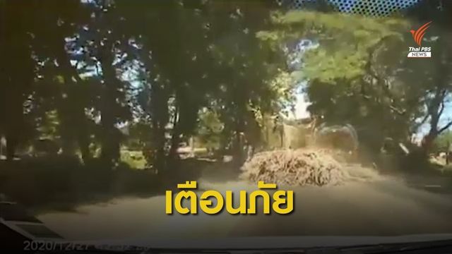 รถบรรทุกอ้อยมาเต็มคันร่วงเกลื่อนถนนใน จ.เลย