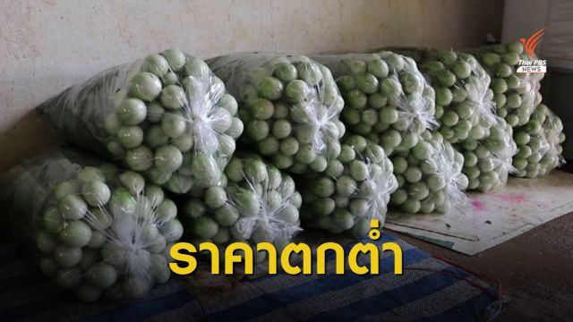 เกษตรกรร้องรัฐเร่งแก้ปัญหาราคาผัก-ผลไม้ตกต่ำ
