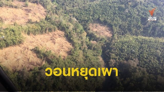 “วราวุธ” วอนหยุดเผา "ป่าแก่งกระจาน" เตรียมชงข้อมูล เข้าครม.