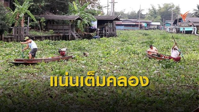 ผักตบชวาเต็มลำคลอง กีดขวางการสัญจรทางเรือ จ.นนทบุรี