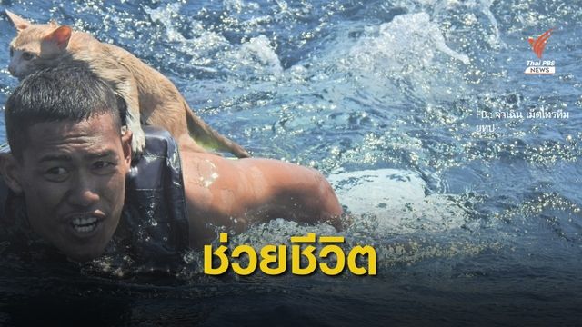 ทร.ช่วย 8 ลูกเรือ 4 ลูกแมวรอดชีวิต เหตุเรือล่มกลางทะเลสตูล