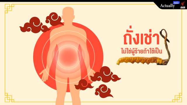 "ถั่งเช่า" ไม่ใช่ผู้ร้ายถ้าใช้เป็น