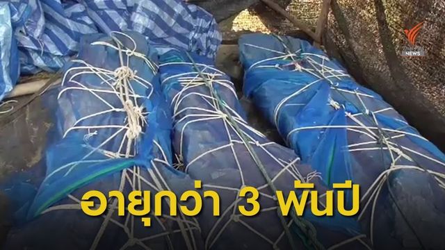 พบโครงกระดูกคล้ายมัมมี่ อายุกว่า 3,000 ปี 