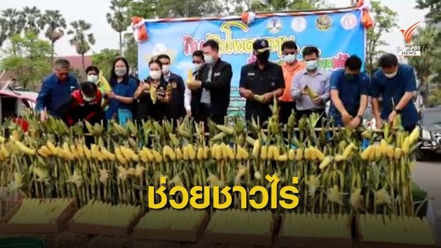 จ.นครราชสีมา จัดงานข้าวโพดหวานช่วยเกษตรกร 
